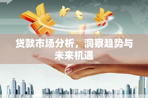 中和贷款市场分析，洞察趋势与未来机遇