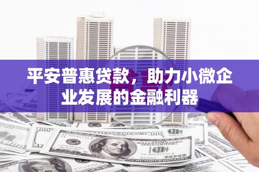 中和平安普惠贷款，助力小微企业发展的金融利器