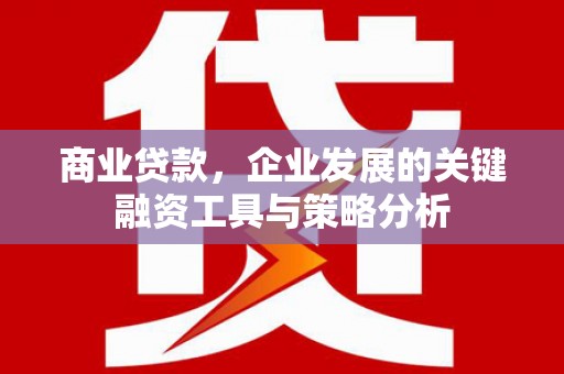中和商业贷款，企业发展的关键融资工具与策略分析