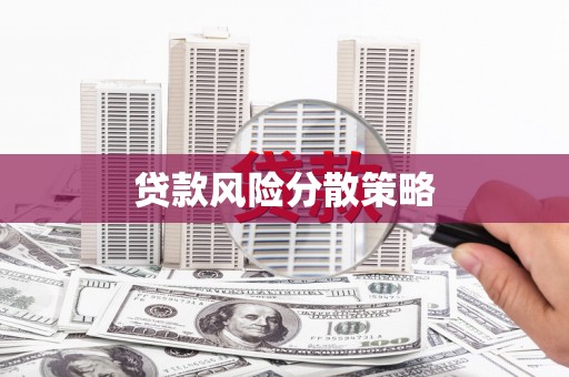 中和贷款风险分散策略