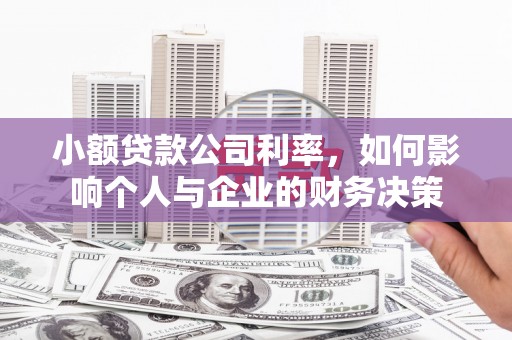 中和小额贷款公司利率，如何影响个人与企业的财务决策