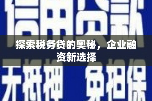 中和探索税务贷的奥秘，企业融资新选择