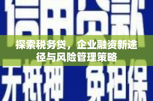 中和探索税务贷，企业融资新途径与风险管理策略