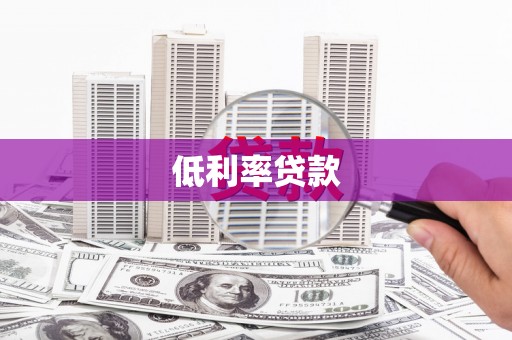 中和低利率贷款
