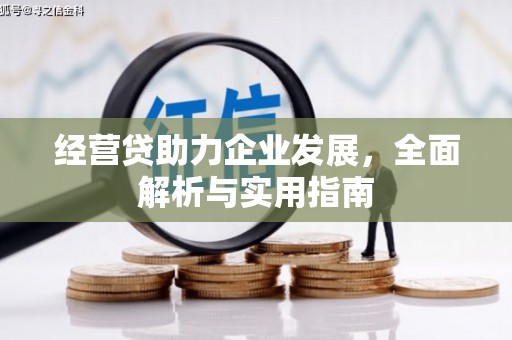 中和经营贷助力企业发展，全面解析与实用指南