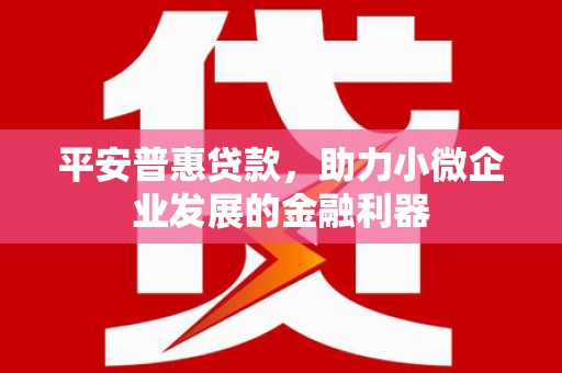 中和平安普惠贷款，助力小微企业发展的金融利器