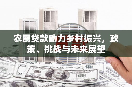 中和农民贷款助力乡村振兴，政策、挑战与未来展望