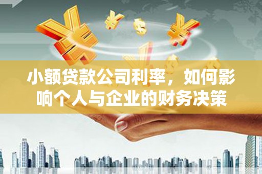 中和小额贷款公司利率，如何影响个人与企业的财务决策