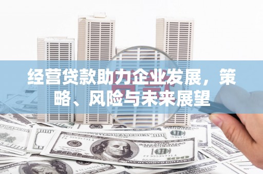中和经营贷款助力企业发展，策略、风险与未来展望