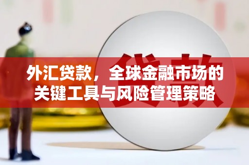 中和外汇贷款，全球金融市场的关键工具与风险管理策略