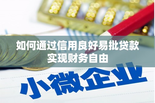 中和如何通过信用良好易批贷款实现财务自由