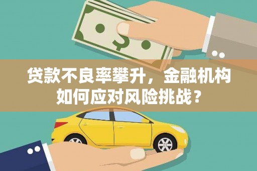 中和贷款不良率攀升，金融机构如何应对风险挑战？