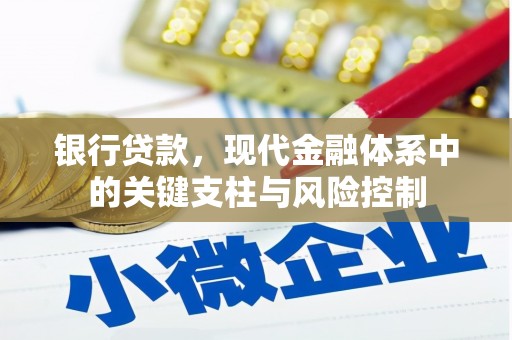 中和银行贷款，现代金融体系中的关键支柱与风险控制