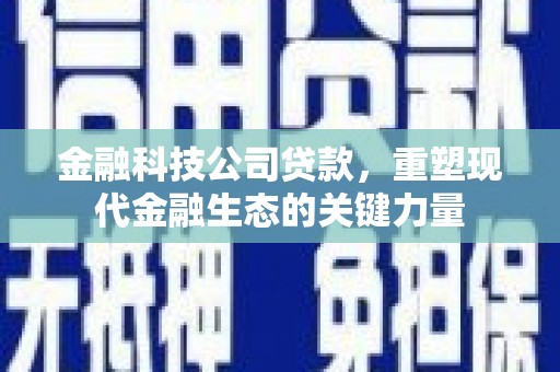 中和金融科技公司贷款，重塑现代金融生态的关键力量