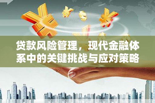 中和贷款风险管理，现代金融体系中的关键挑战与应对策略
