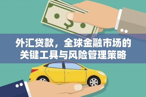 中和外汇贷款，全球金融市场的关键工具与风险管理策略