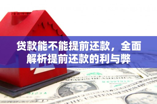 中和贷款能不能提前还款，全面解析提前还款的利与弊