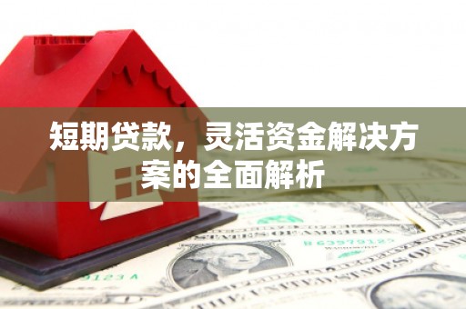 中和短期贷款，灵活资金解决方案的全面解析