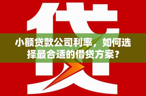 中和小额贷款公司利率，如何选择最合适的借贷方案？