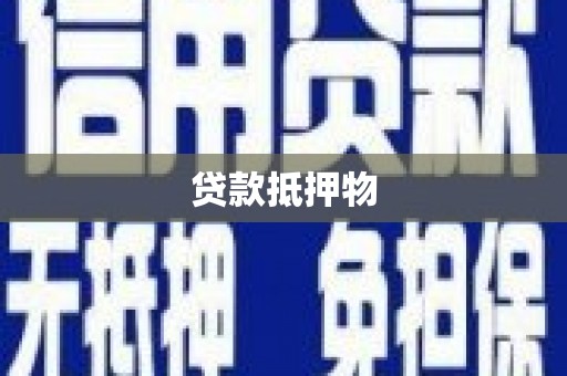 中和贷款抵押物