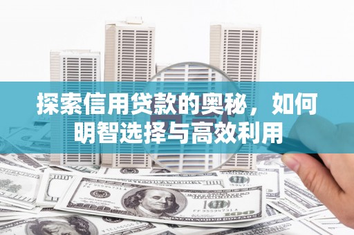 中和探索信用贷款的奥秘，如何明智选择与高效利用