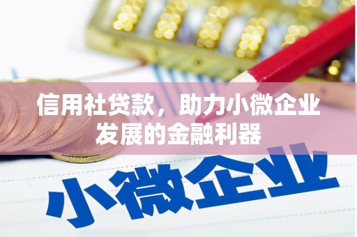 中和信用社贷款，助力小微企业发展的金融利器