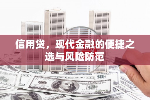 中和信用贷，现代金融的便捷之选与风险防范