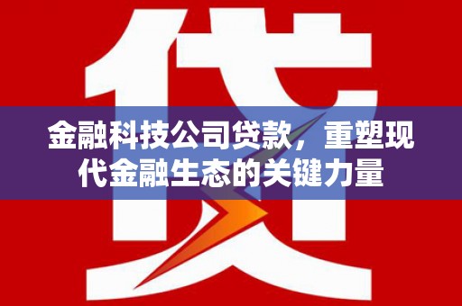 中和金融科技公司贷款，重塑现代金融生态的关键力量