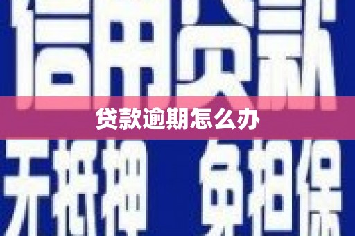 中和贷款逾期怎么办