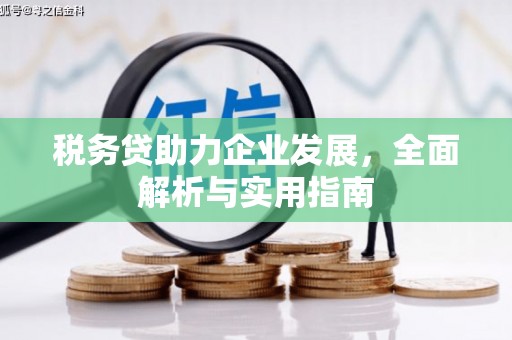 中和税务贷助力企业发展，全面解析与实用指南