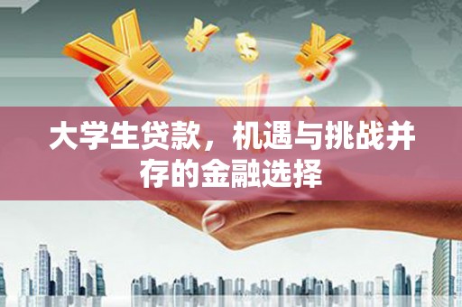 中和大学生贷款，机遇与挑战并存的金融选择