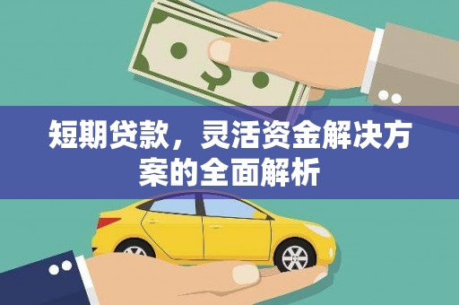 中和短期贷款，灵活资金解决方案的全面解析