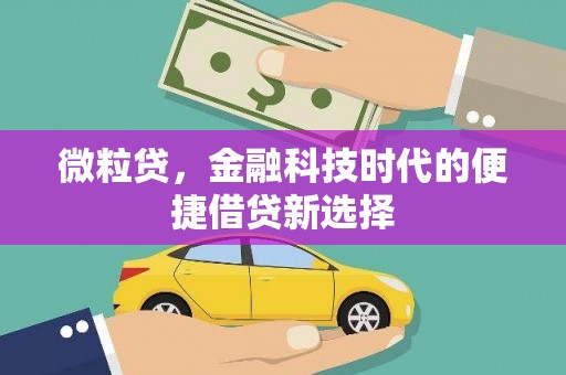 中和微粒贷，金融科技时代的便捷借贷新选择