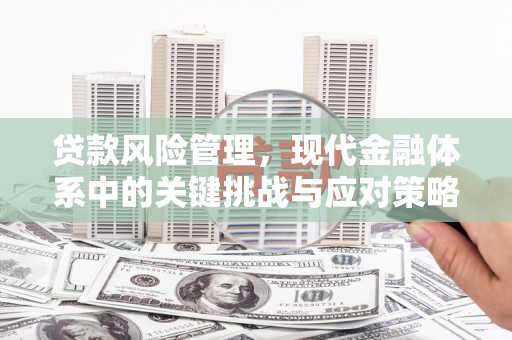 中和贷款风险管理，现代金融体系中的关键挑战与应对策略