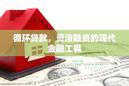 中和循环贷款，灵活融资的现代金融工具