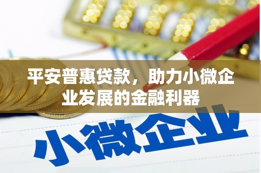 中和平安普惠贷款，助力小微企业发展的金融利器