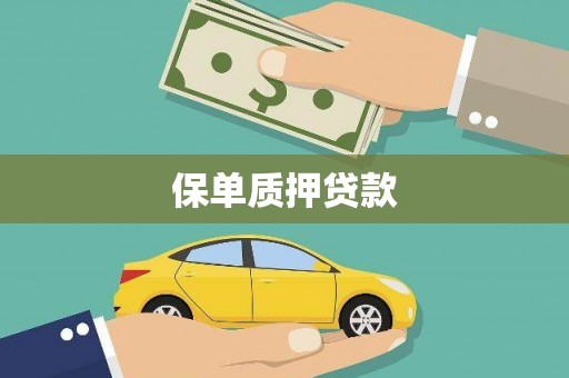 中和保单质押贷款