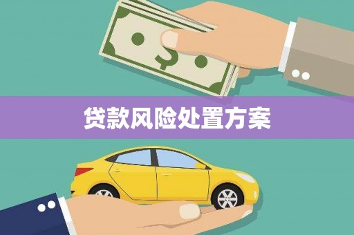 中和贷款风险处置方案