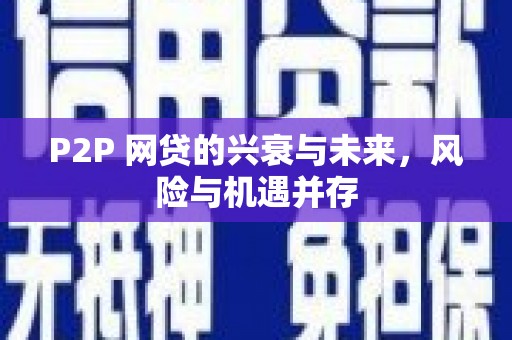 中和P2P 网贷的兴衰与未来，风险与机遇并存
