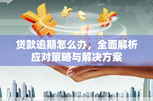 中和贷款逾期怎么办，全面解析应对策略与解决方案