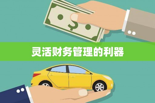 中和灵活财务管理的利器