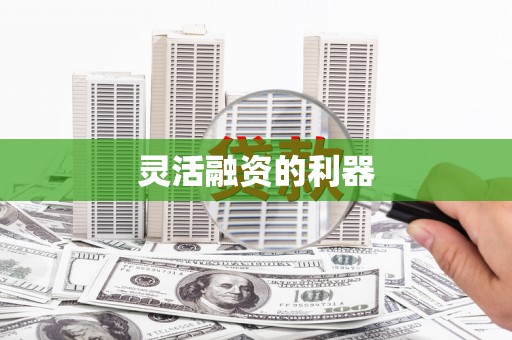 中和灵活融资的利器