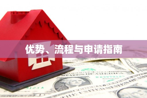 中和优势、流程与申请指南