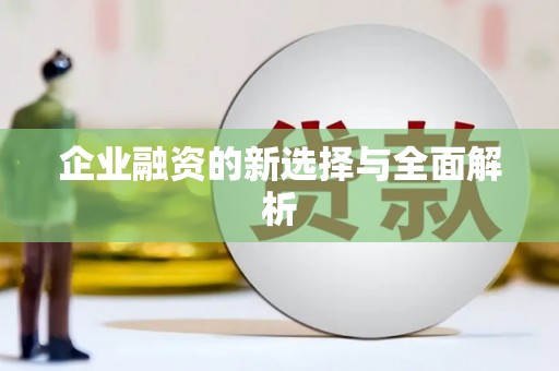 中和企业融资的新选择与全面解析