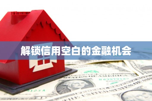 中和解锁信用空白的金融机会
