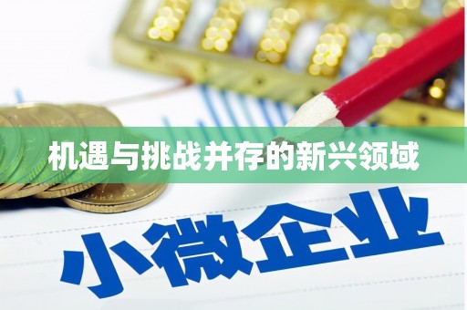 中和机遇与挑战并存的新兴领域