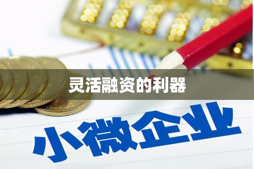 中和灵活融资的利器