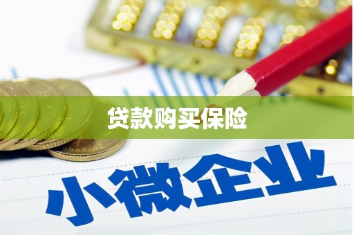 中和贷款购买保险