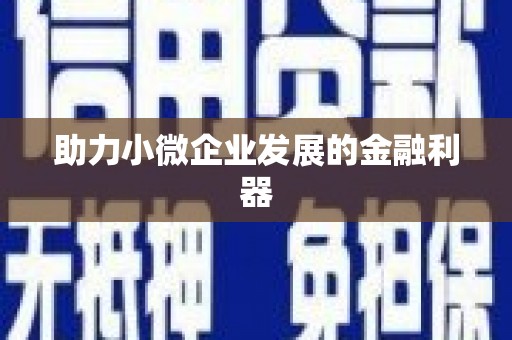 中和助力小微企业发展的金融利器