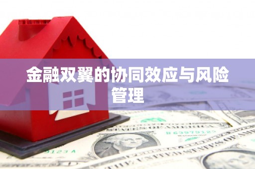 中和金融双翼的协同效应与风险管理